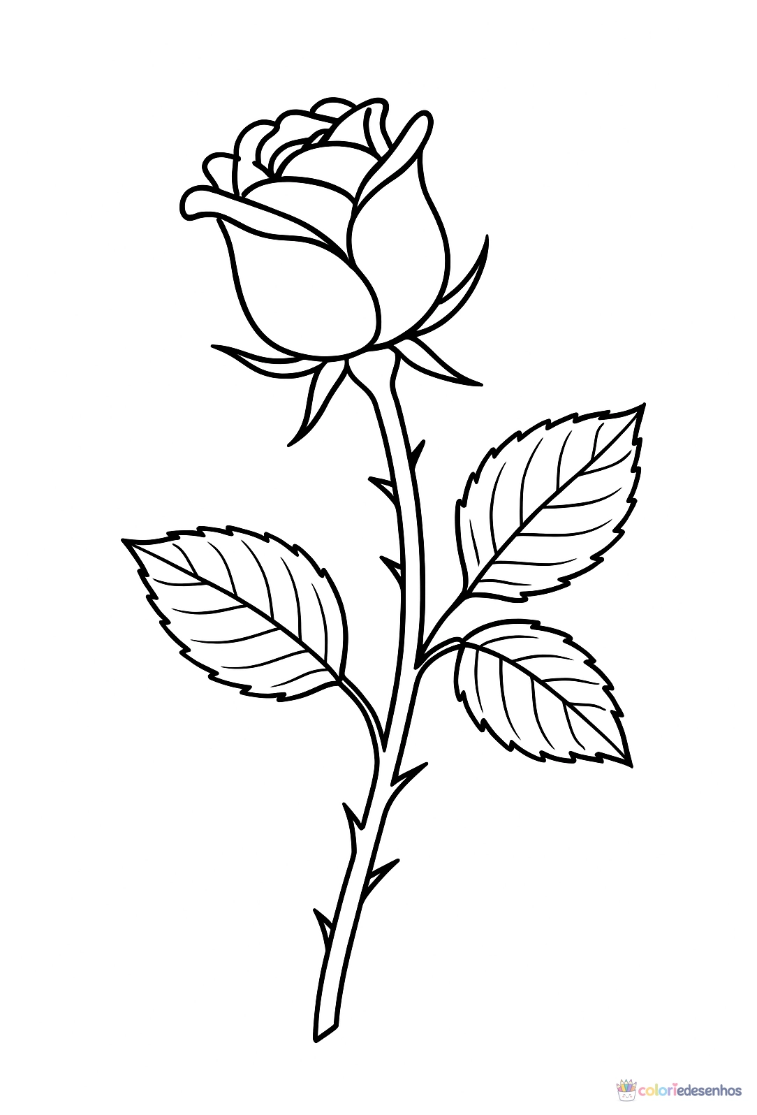 Rosa para colorir