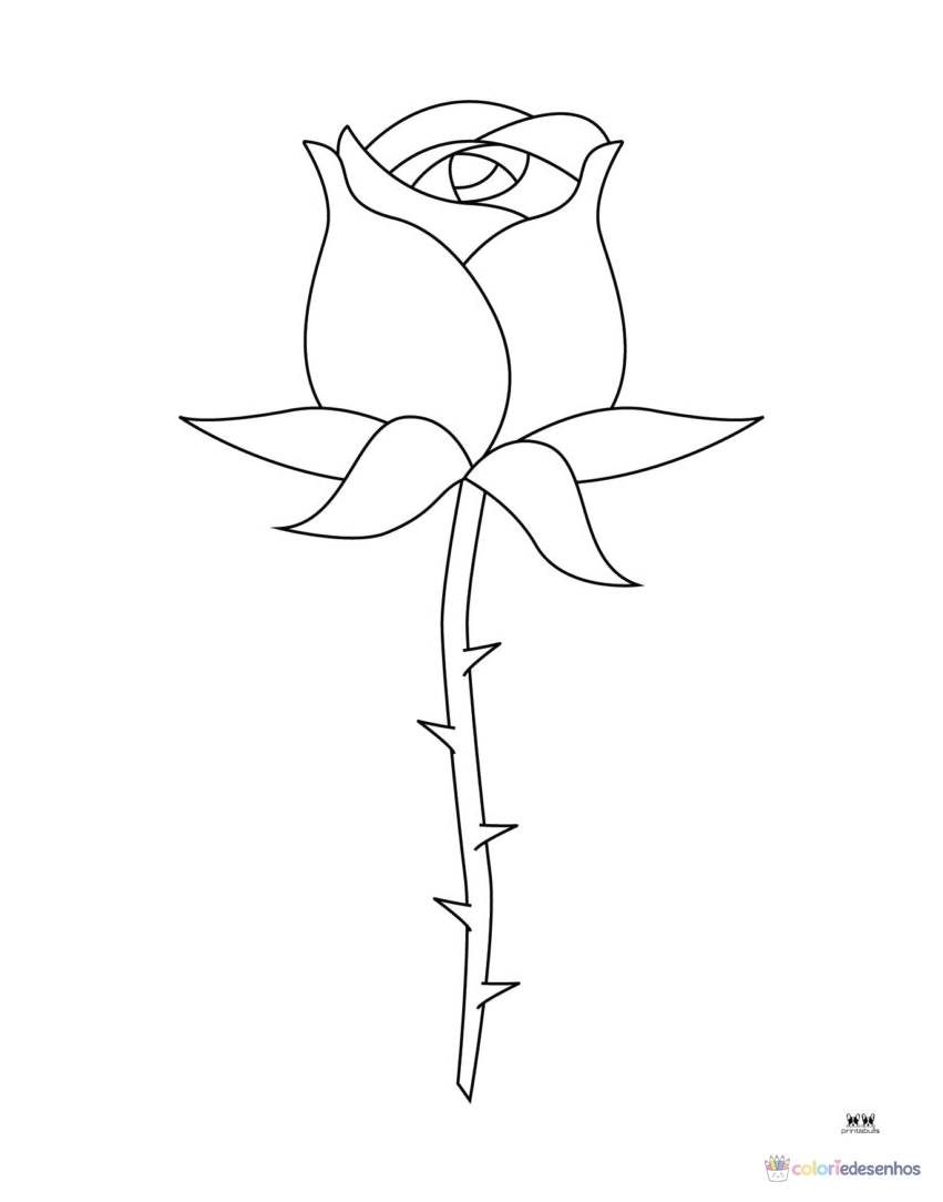 Rosa para colorir