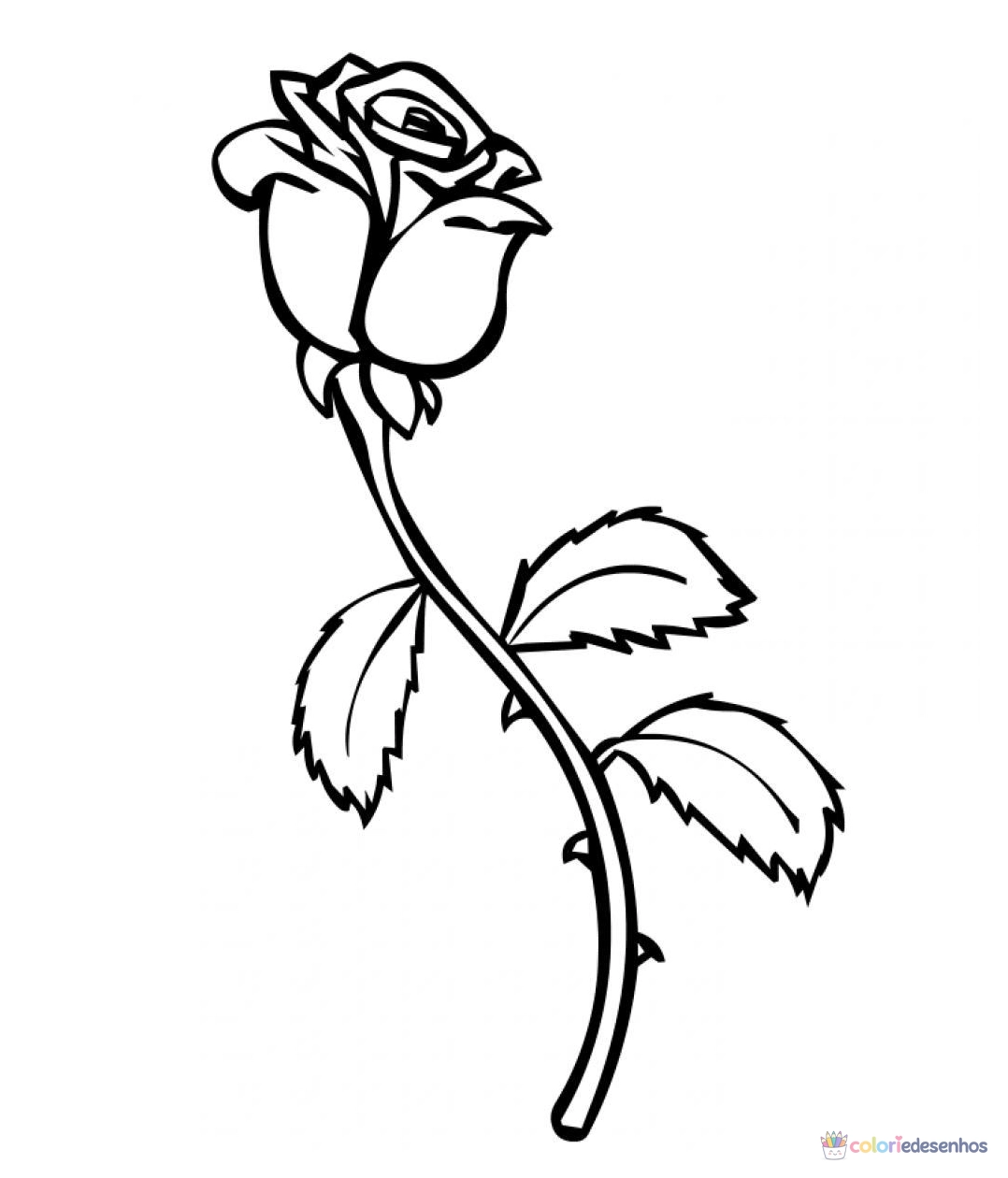 Rosa para colorir