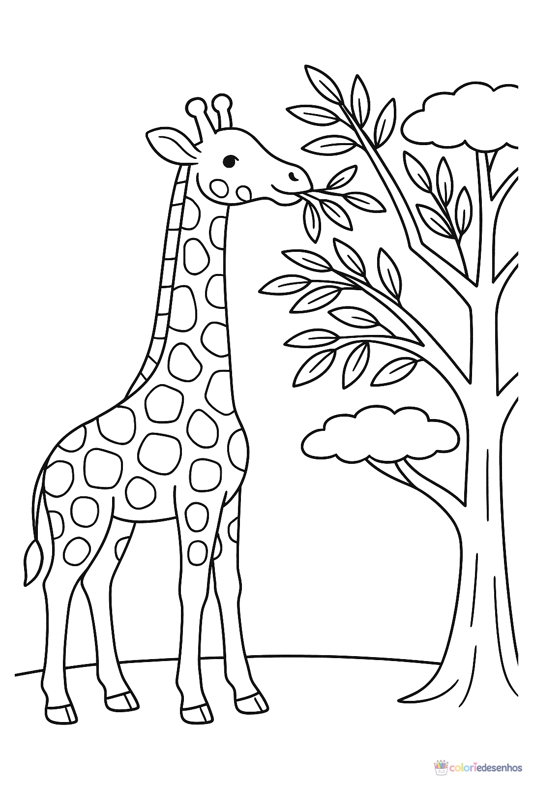 Safari para colorir
