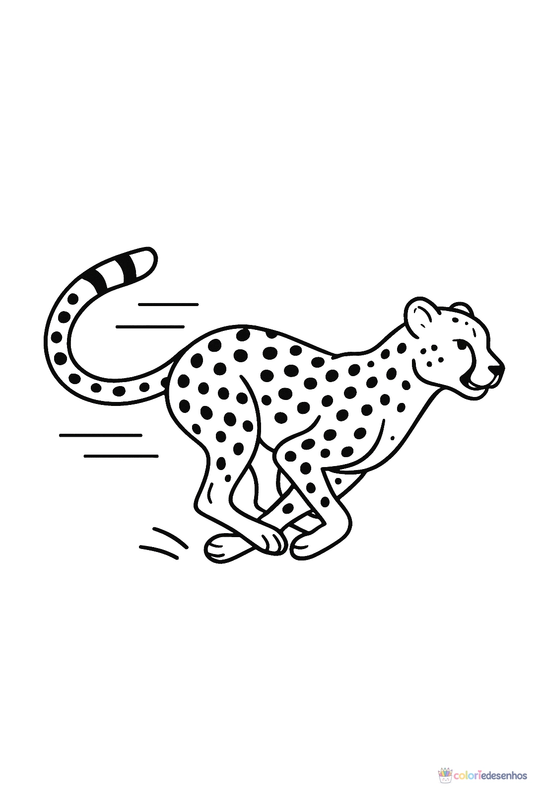 Safari para colorir