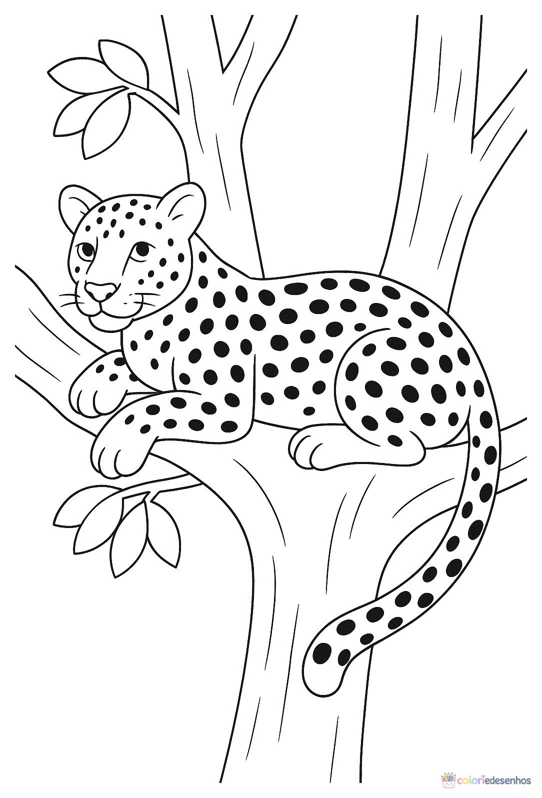Safari para colorir