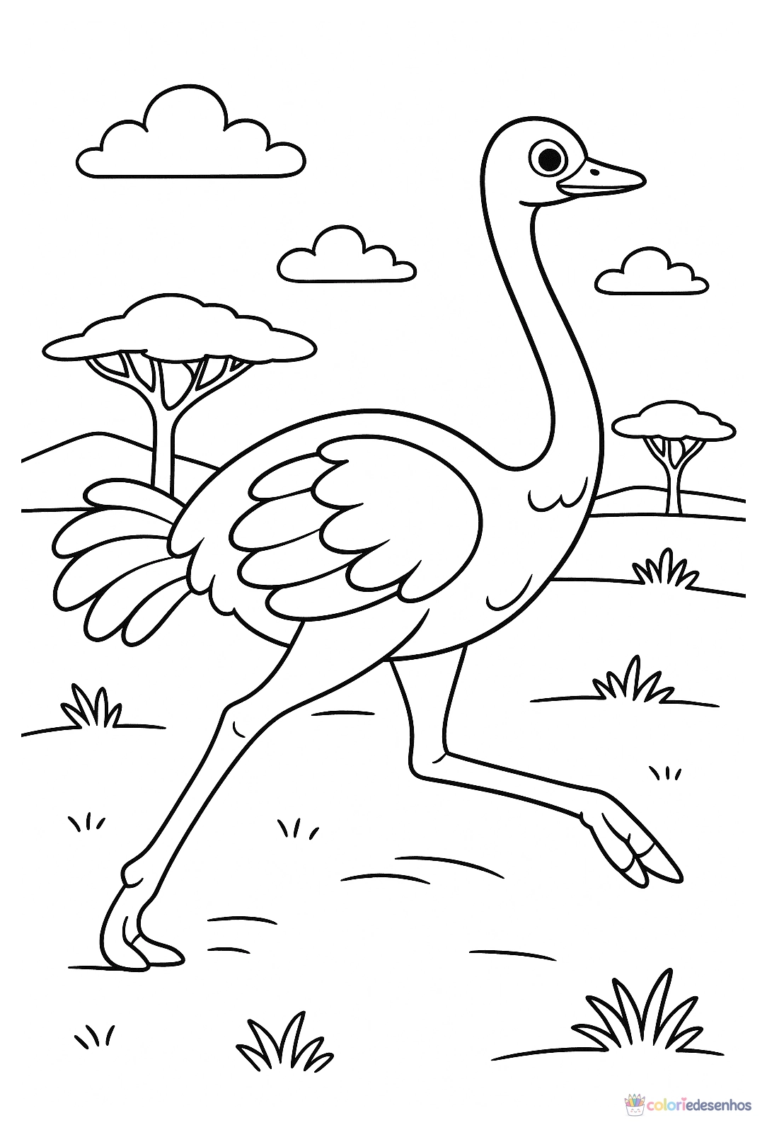 Safari para colorir
