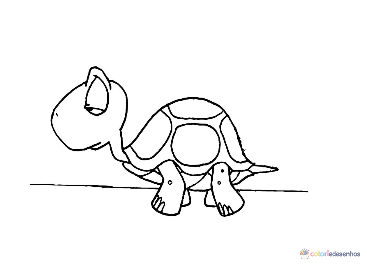 Desenhos de Tartarugas para colorir