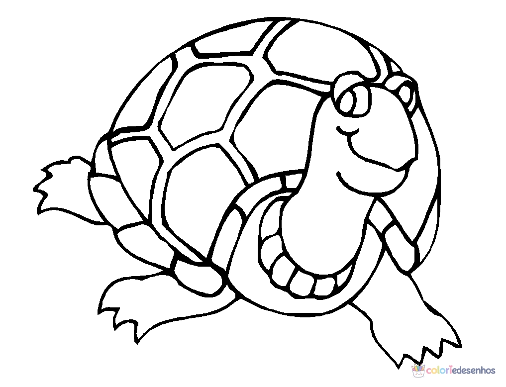 Tartarugas para colorir