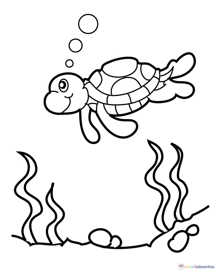 Tartarugas para colorir