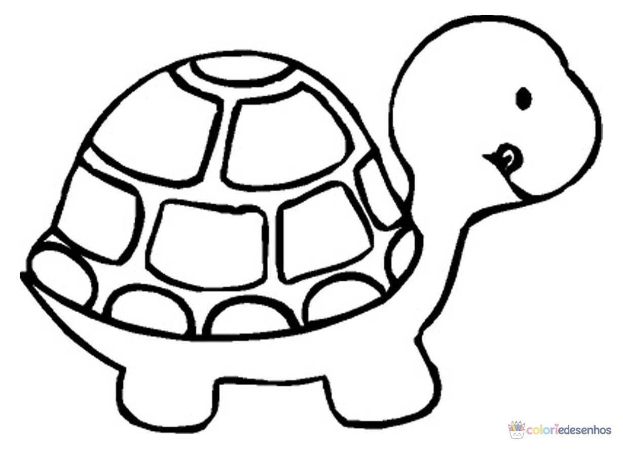 Tartarugas para colorir
