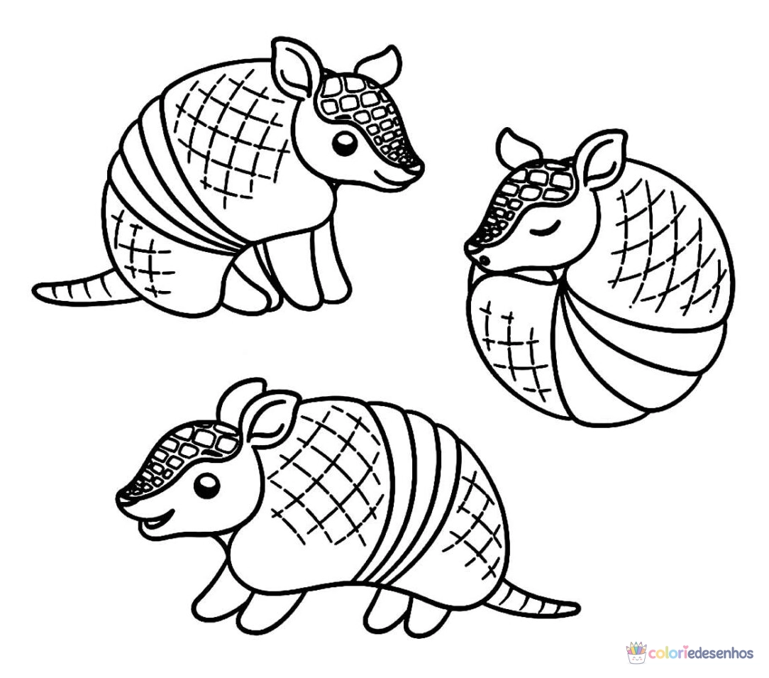 Tatu para colorir