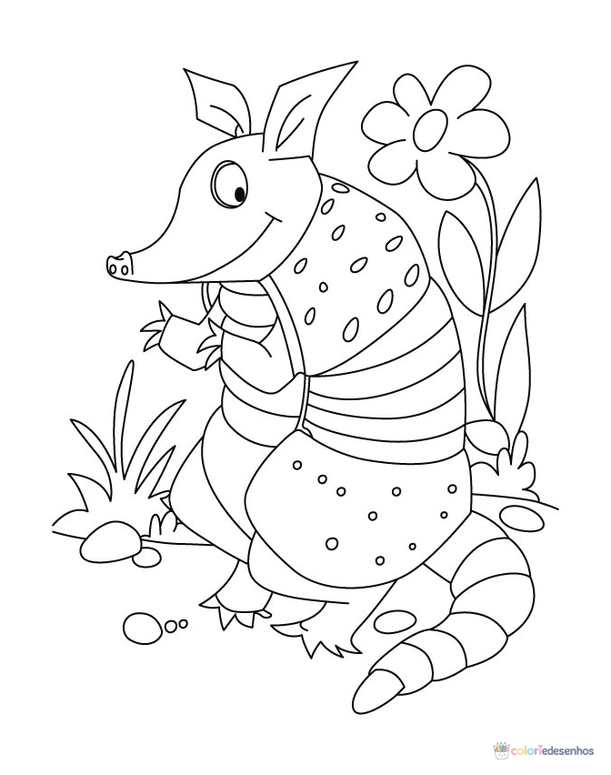Tatu para colorir