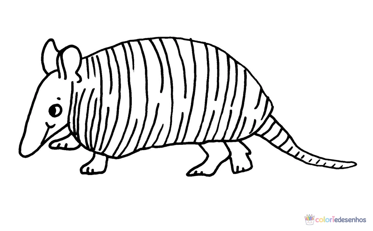 Tatu para colorir
