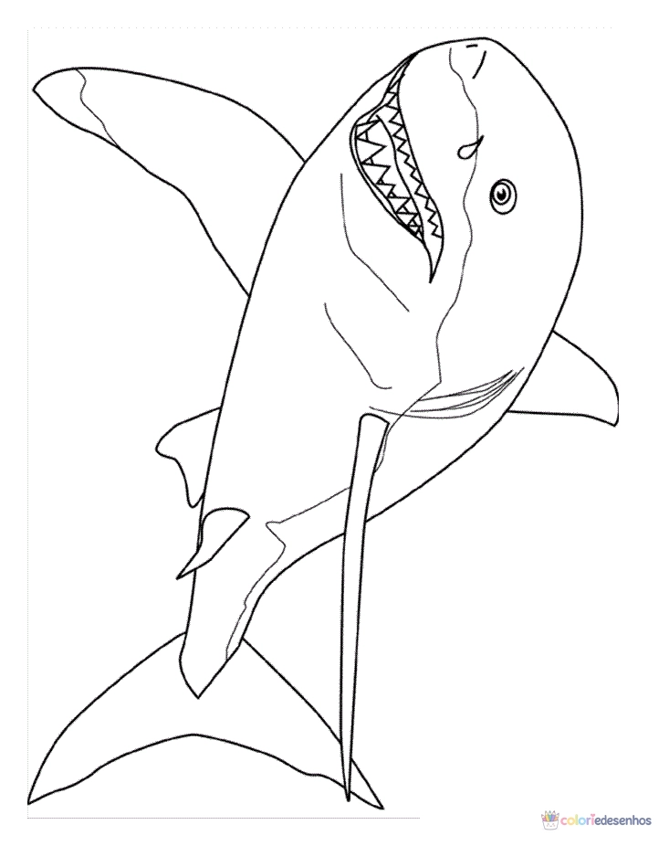 Desenhos de Tubarões para colorir