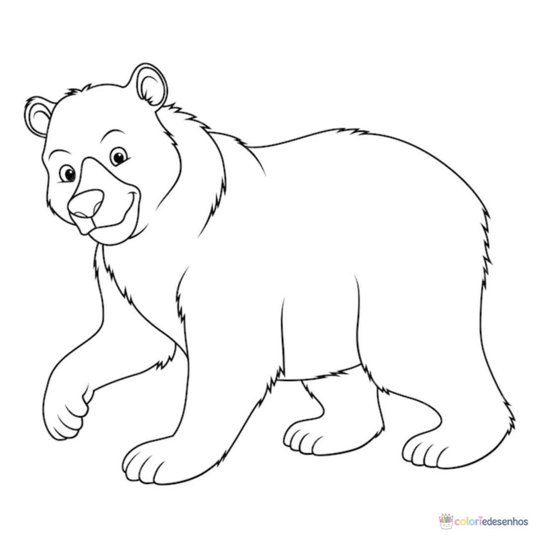 Urso para colorir
