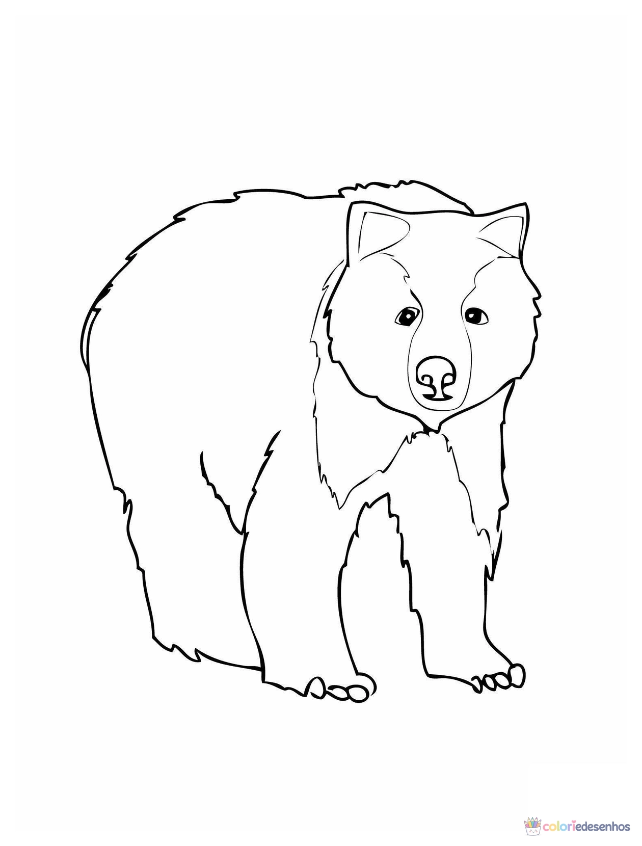 Desenhos de Ursos para colorir