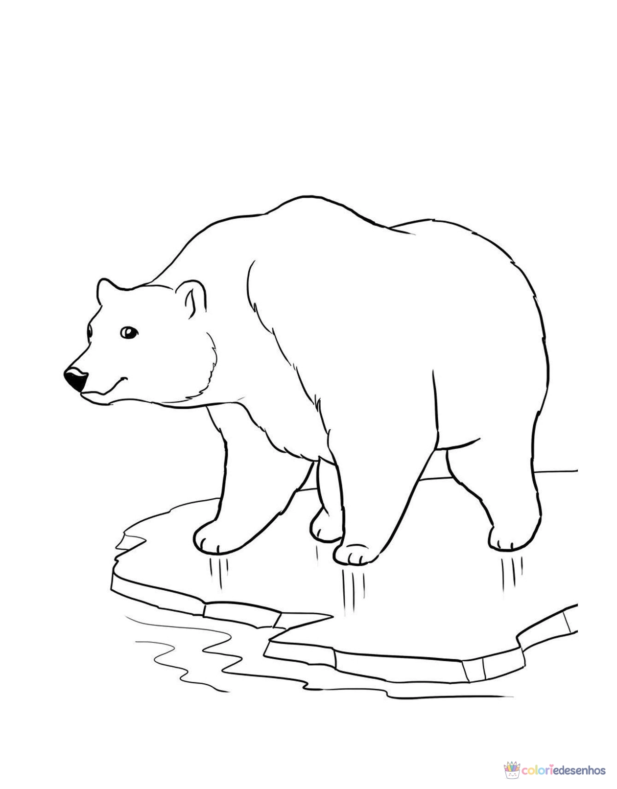 Ursos para colorir