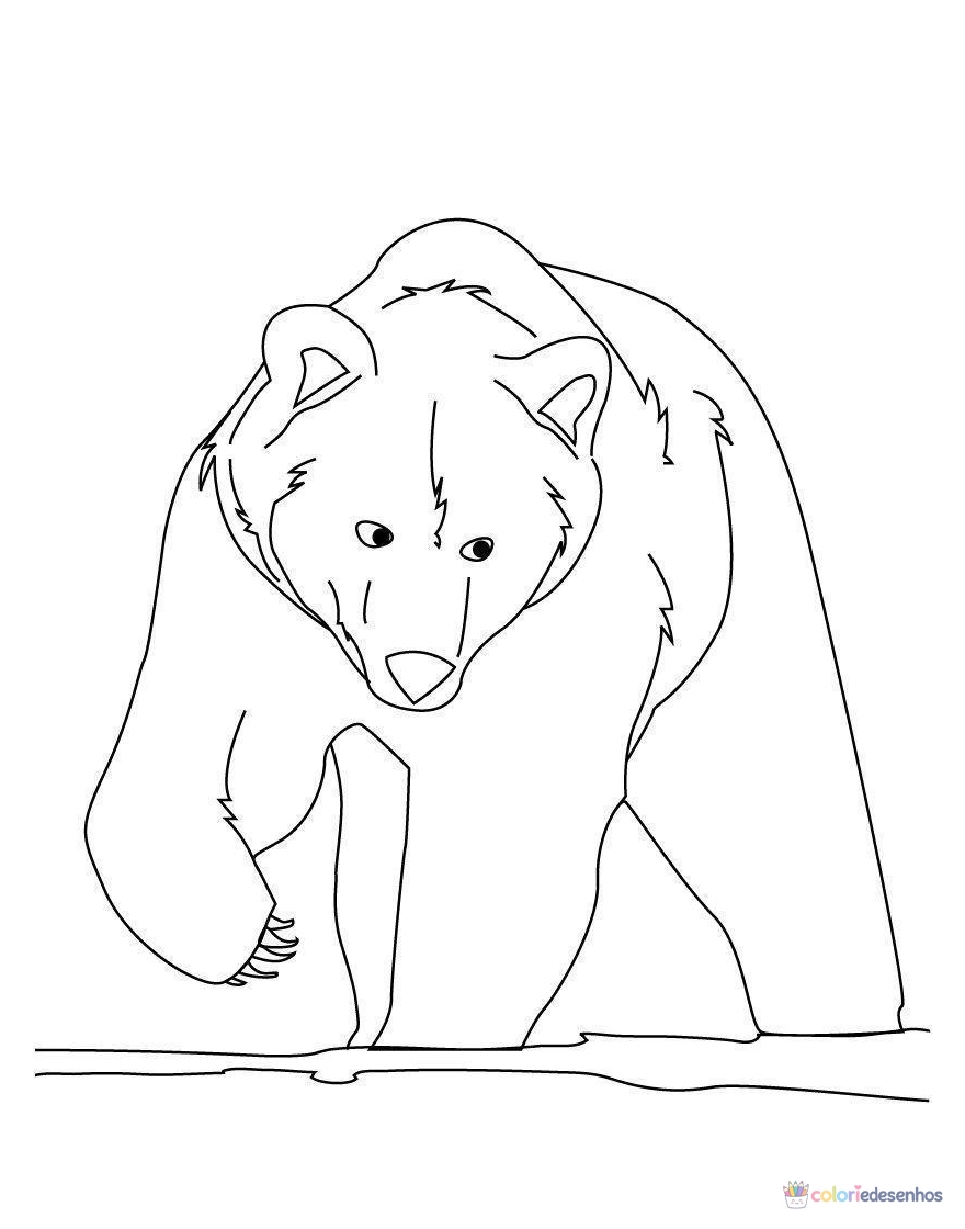 Ursos para colorir