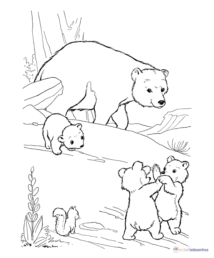 Ursos para colorir