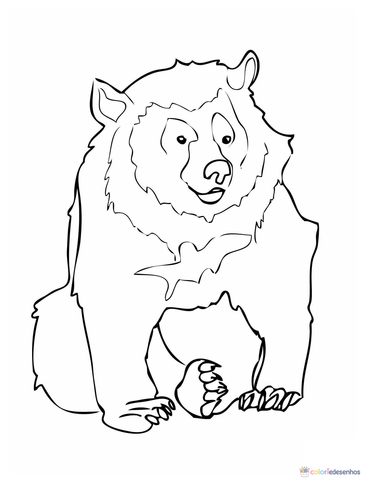 Ursos para colorir