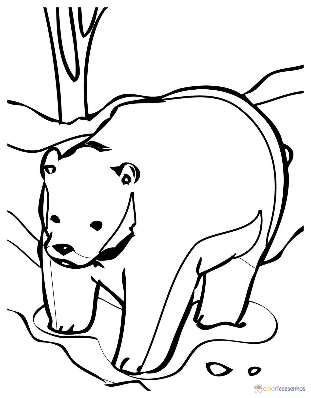 Ursos para colorir