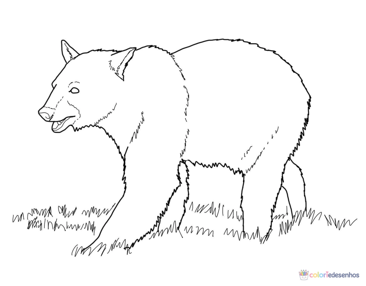 Ursos para colorir