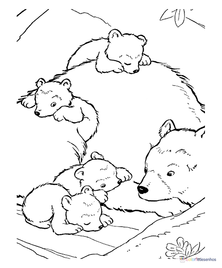 Ursos para colorir