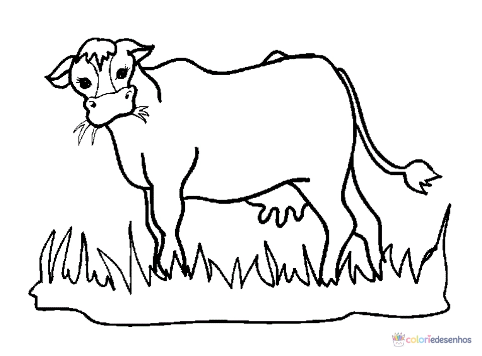 Desenhos de Vacas para colorir