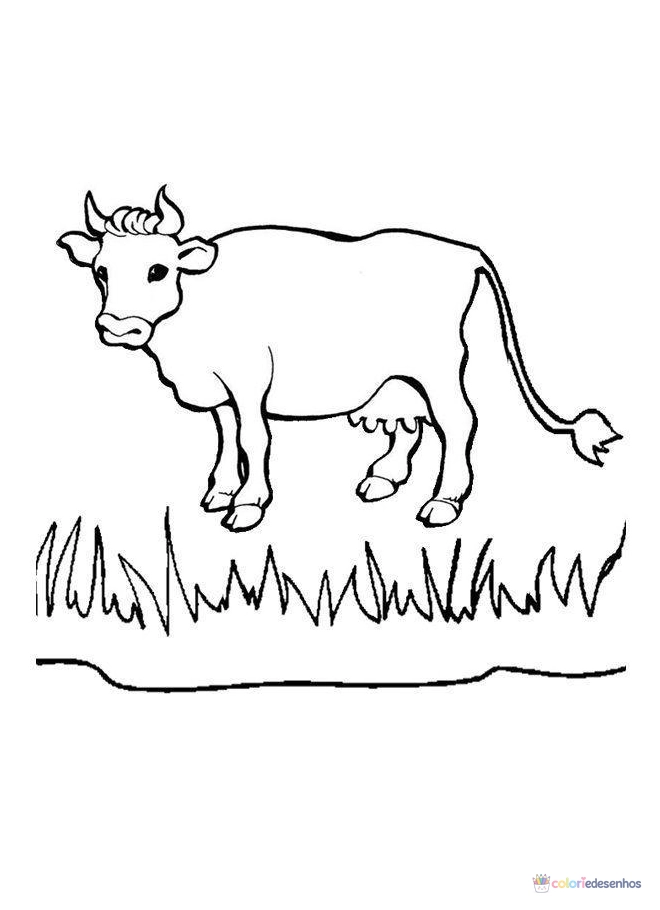 Vacas para colorir
