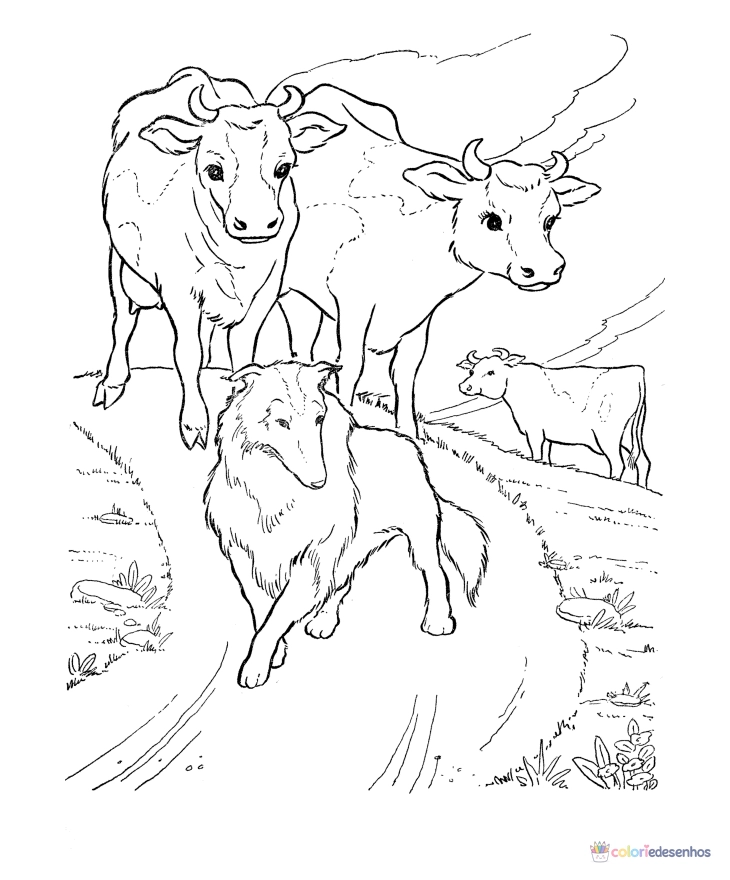 Vacas para colorir