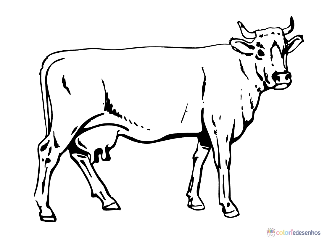 Vacas para colorir