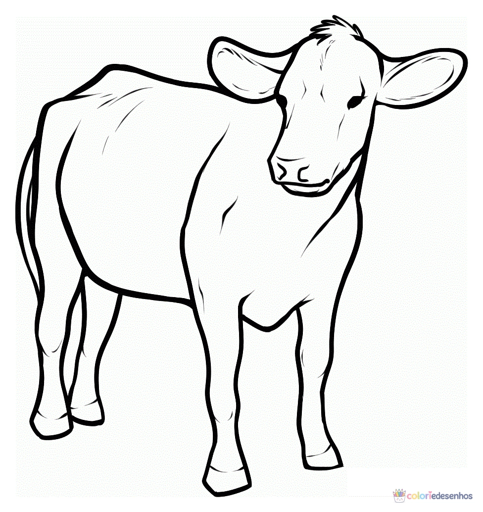 Vacas para colorir