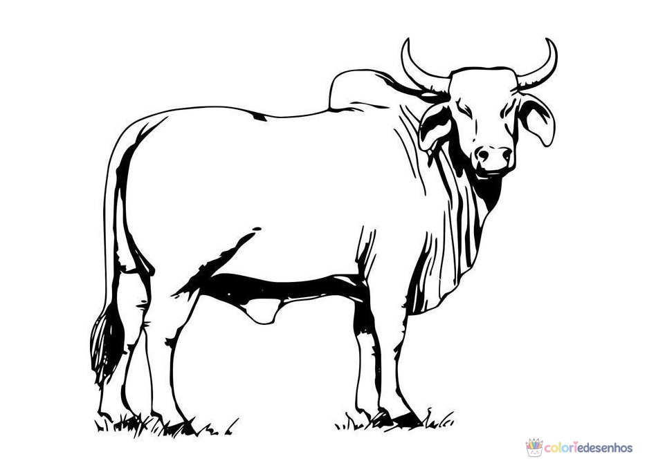Vacas para colorir