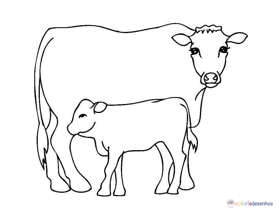 Vacas para colorir