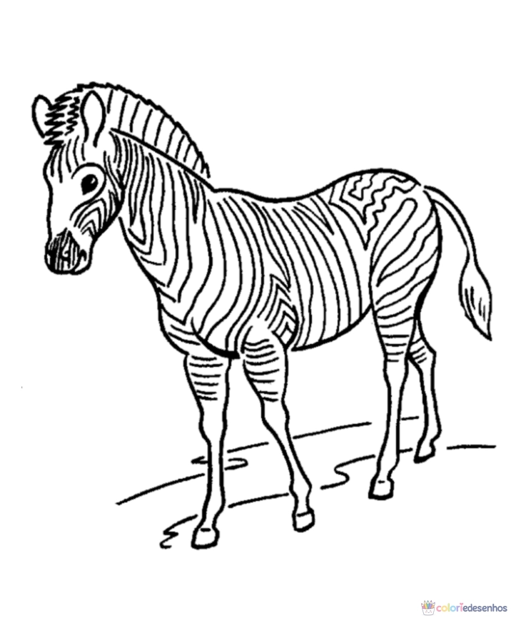 Zebras para colorir