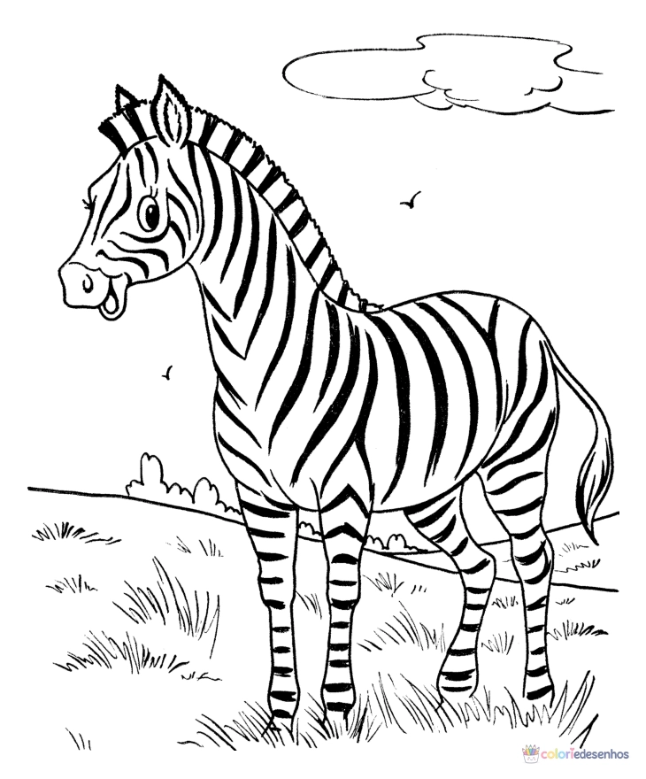 Zebras para colorir