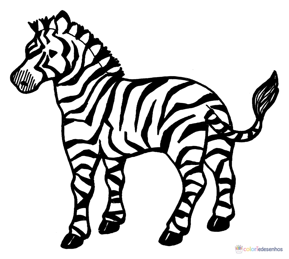 Zebras para colorir