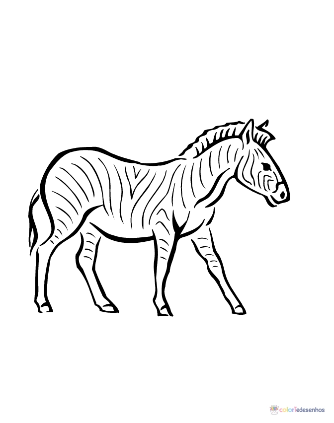 Zebras para colorir